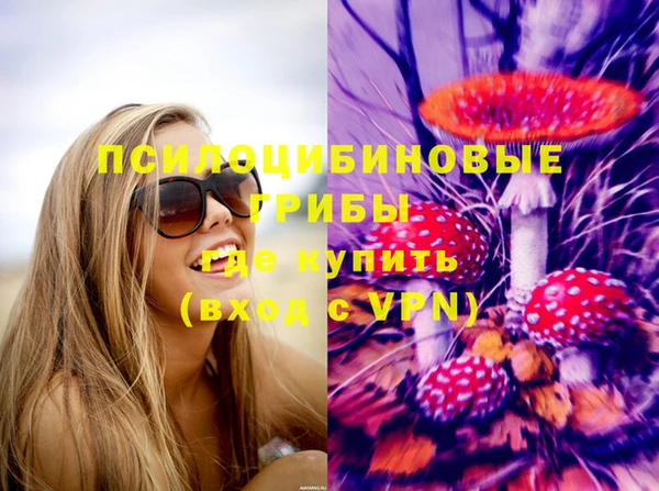 ПСИЛОЦИБИНОВЫЕ ГРИБЫ Алзамай