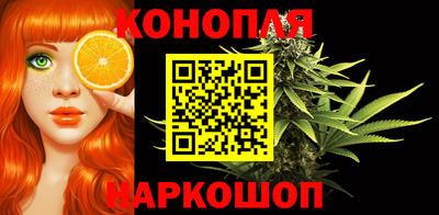 крисы Нальчик