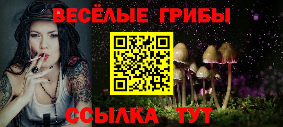 Псилоцибиновые грибы Psilocybine cubensis Сибай
